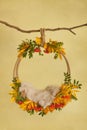 Autumn props for photographing newborns, pendant ring on a branch with rowan, yellow and red leaves and beige skin on a yellow bac