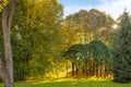 Autumn public park in sunny day, sun ray shines through tree branches with yellow and green leaves. Royalty Free Stock Photo