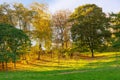 Autumn public park in sunny day, sun ray shines through tree branches with yellow and green leaves. Royalty Free Stock Photo