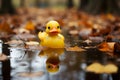 Autumn puddle hosts a duck toy, leaves scattered, close up play Royalty Free Stock Photo