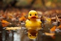 Autumn puddle hosts a duck toy, leaves scattered, close up play Royalty Free Stock Photo