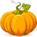 Autumn Pumpkin