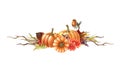 Autumn pumpkin arrangement. Watercolor illustration. Hand drawn rustic thanksgiving festive decor. Robin bird on pumpkin Royalty Free Stock Photo