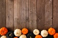 Autumn pumpkin bottom border in Halloween colors orange, black and white over rustic wood