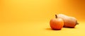 Autumn pumpkin and butternut squash - Harvest and Thanksgiving theme - 3d