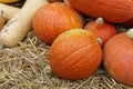 Autumn pumpkin decoration, closeup Royalty Free Stock Photo