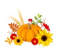 Autumn pumpkin and flowers. Vector illustration.