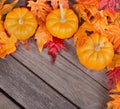Autumn Pumpkin and Leaf Border Royalty Free Stock Photo
