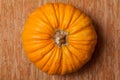 Autumn pumpkin