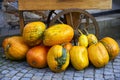 Autumn pumpkin and part of wheel rustic carts.