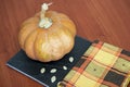 Autumn pumpkin thanksgiving background Royalty Free Stock Photo