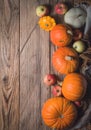 Autumn Pumpkin Thanksgiving Background Royalty Free Stock Photo