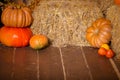 Autumn Pumpkin Thanksgiving Background - orange pumpkins, leaves and flowers over wooden floor Royalty Free Stock Photo