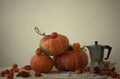 Autumn Pumpkin Thanksgiving Background - orange pumpkins over wo