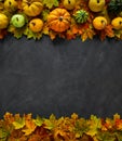 Autumn Pumpkin Thanksgiving Background - top view Royalty Free Stock Photo