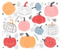 Autumn pumpkin vegetable Halloween and thanksgiving food isolated drawing set in different style