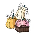 Autumn pumpkins and basket cute hand drawn illustration. Royalty Free Stock Photo