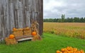 Autumn pumpkins with bench by barn Royalty Free Stock Photo
