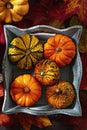 Autumn Pumpkins