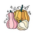 Autumn pumpkins cute hand drawn illustration. Adorable kawaii triple composition. Royalty Free Stock Photo