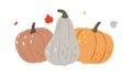 Autumn pumpkins. Pumpkins. Autumn halloween vegetables. Vector illustration.