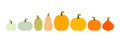 Autumn pumpkins icons colorful varieties collection border Royalty Free Stock Photo