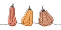 Autumn pumpkins. Pumpkins one line colored continuous drawing. Autumn halloween vegetables continuous one line