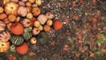 Autumn pumpkins piled on ground close-up top view