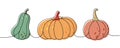 Autumn pumpkins. Pumpkins one line colored continuous drawing. Autumn halloween vegetables continuous one line