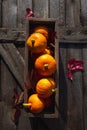 Autumn pumpkins with red leaves on a wooden background. Autumn halloween concept. Copy space