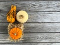 Autumn pumpkins on rustic wooden background, top view with copy space