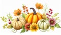 Autumn pumpkins and seasonal flowers