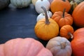 Autumn pumpkins, squashes on black wooden background