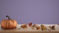 Autumn pumpkins still life on wooden table isolated on purple background. Falling leaves, Thanksgiving Halloween decoration with Royalty Free Stock Photo