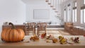 Autumn pumpkins still life on wooden table. Thanksgiving Halloween decoration over interior design scene. Minimal kitchen, living