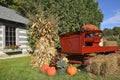 Autumn pumpkins,trailer, and corn shocks Royalty Free Stock Photo