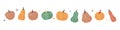 Autumn pumpkins. Pumpkins. Vector illustration. Autumn halloween vegetables.