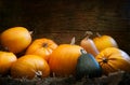 Autumn pumpkins on a wooden background as decorations for thanksgiving day Royalty Free Stock Photo