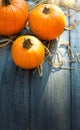 Autumn pumpkins on a wooden background as decorations for thanksgiving day; Thanksgiving banner with copy space Royalty Free Stock Photo