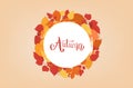 Autumn handwritten lettering with decoration. Vector illustration. Royalty Free Stock Photo