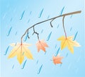 Autumn rain Royalty Free Stock Photo