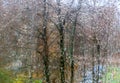 Autumn rain beat against the glass