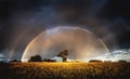 Autumn rain in the evening and full rainbow in the fields above trees Royalty Free Stock Photo