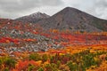 Autumn. After a rain. Jack London's lake Royalty Free Stock Photo