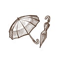 Autumn rain, rain protection, types of umbrellas in different positions.