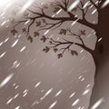 Autumn rain with tree silhouette