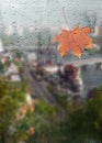 Autumn, rainy city through a window with raindrops.