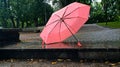 Autumn rainy day in city park pink coral umbrella green trees falling yellow leaves romantic nature season Royalty Free Stock Photo