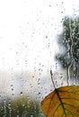 Autumn rainy day on glass with leaf Royalty Free Stock Photo