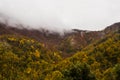 Autumn rainy day in La Garrotxa, Spain Royalty Free Stock Photo